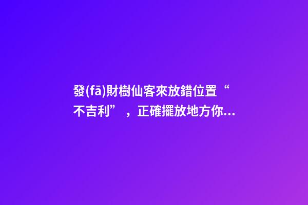 發(fā)財樹仙客來放錯位置“不吉利”，正確擺放地方你清楚嗎？